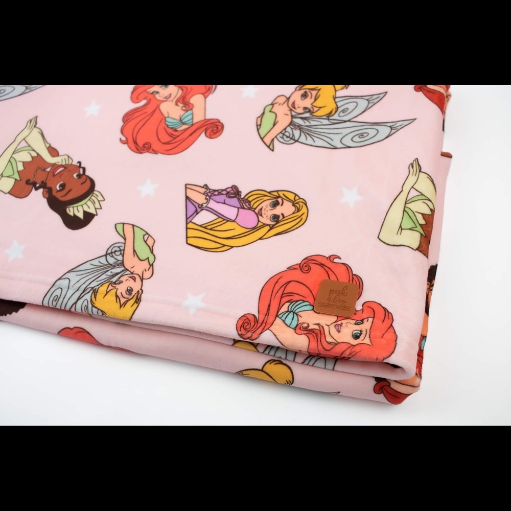 Princesses Minky blanket